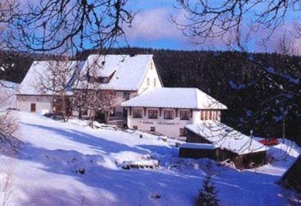 Pension Loeffelschmiede Ленцкірх Екстер'єр фото